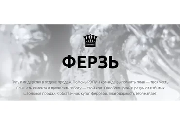 [Академия Белочкиной] Ферзь. Тариф Один в поле воин (Настасья Белочкина)