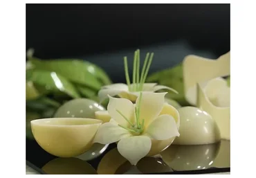 [Студия Соль] Работа с шоколадом и базовый декор (Майя Климина)