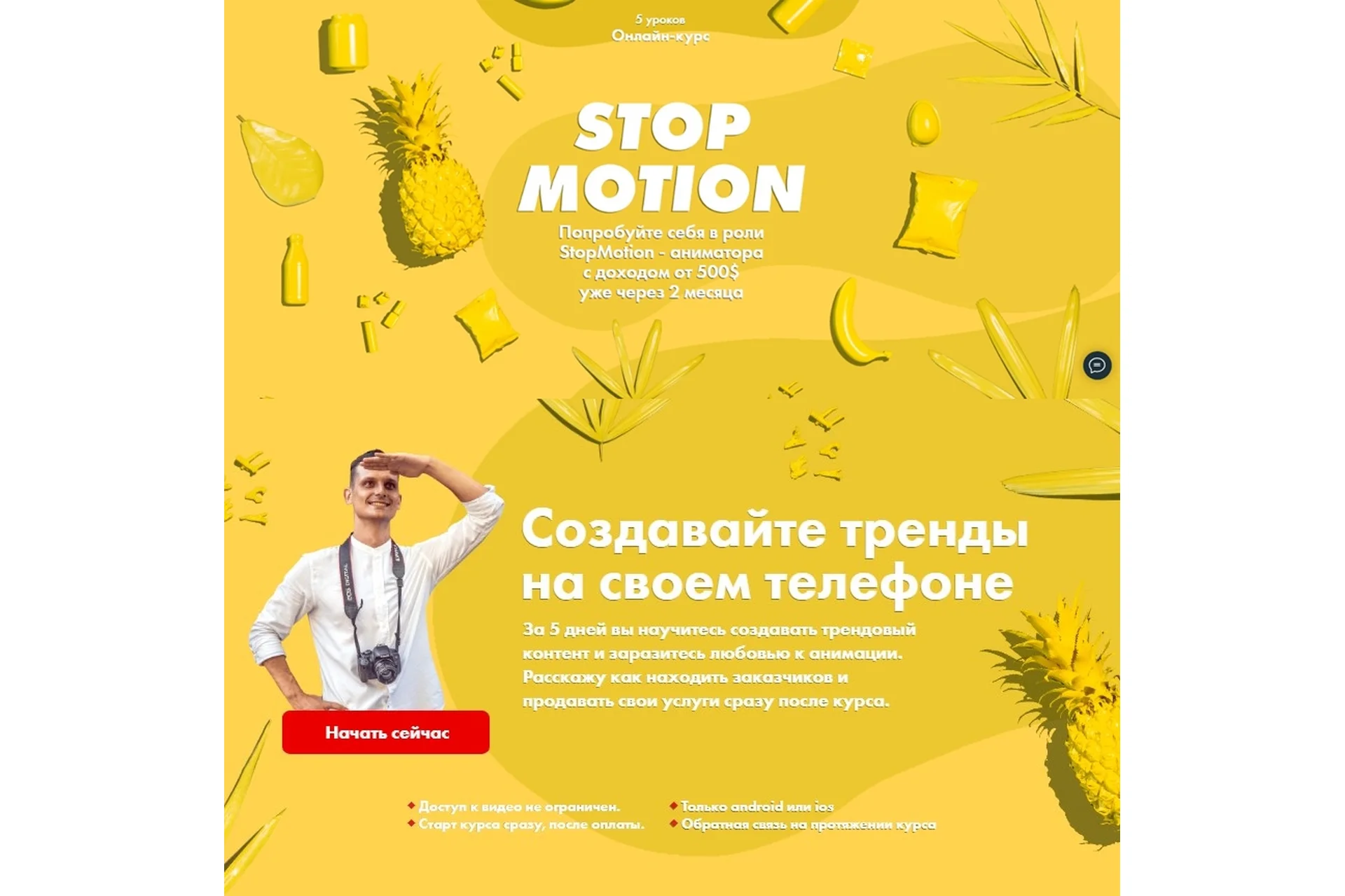 Stop motion. Базовый курс (Александр Дмитров), фото 1 из 1.