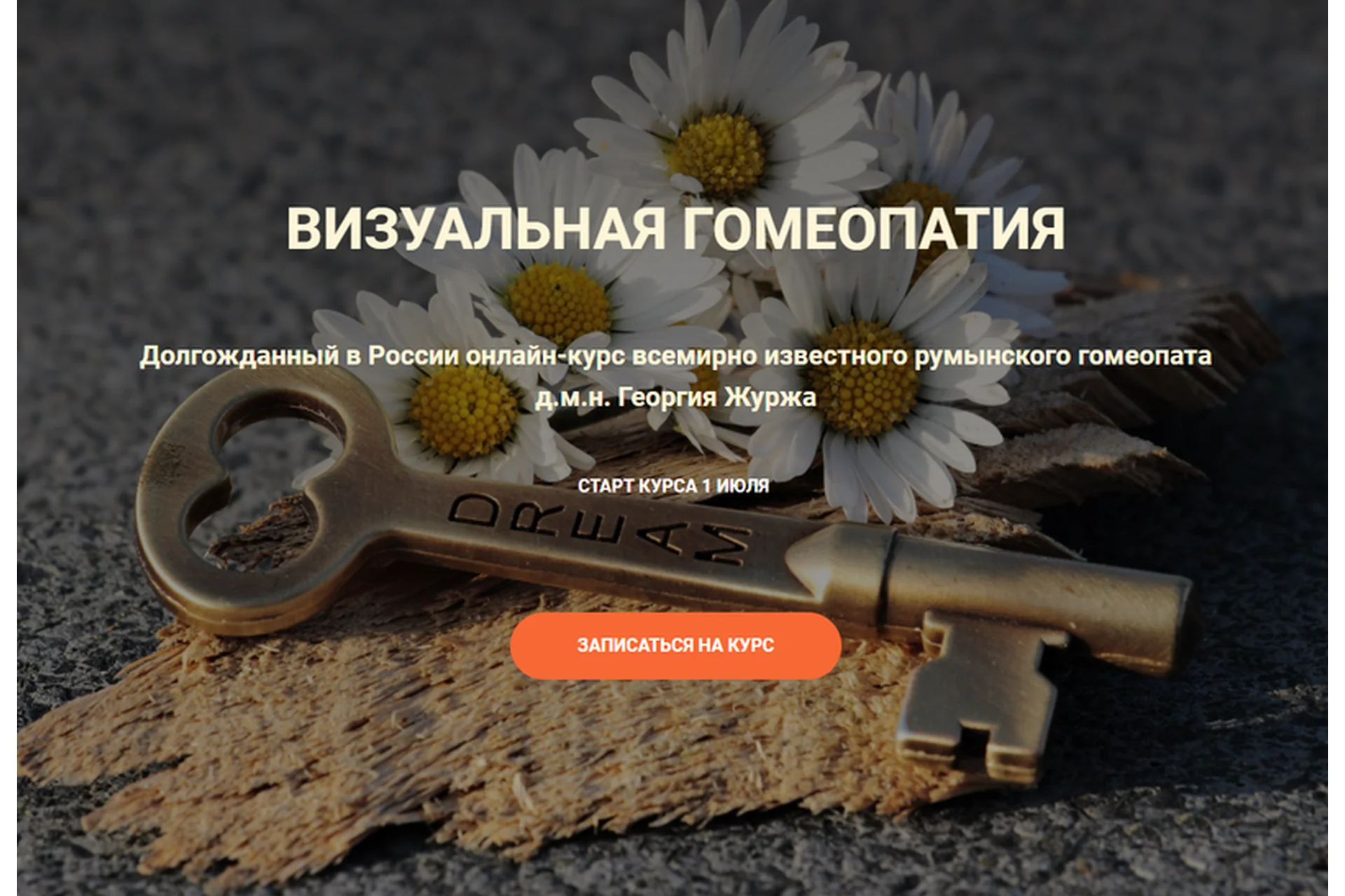 Визуальная гомеопатия. Тариф «4 занятие» (Георгий Журж), фото 1 из 1.