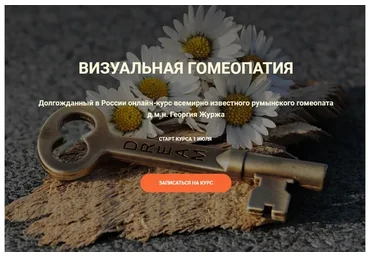 Визуальная гомеопатия. Тариф «4 занятие» (Георгий Журж)