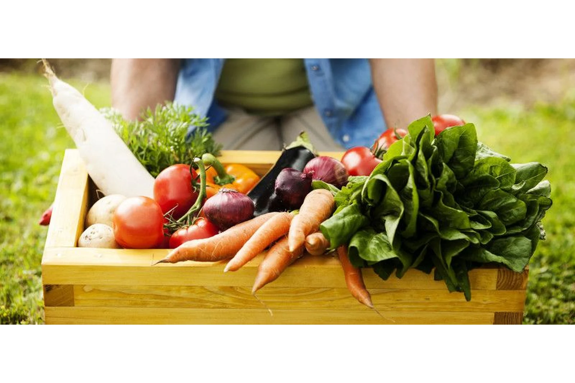 Как полностью раскрыть потенциал растений (Николай Курдюмов), фото 1 из 1.