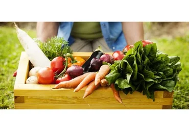 Как полностью раскрыть потенциал растений (Николай Курдюмов)