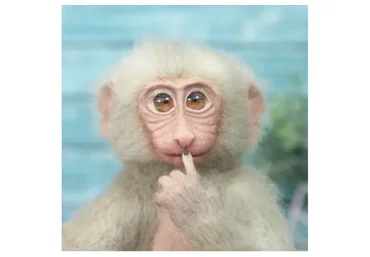 Мастер реалистичной игрушки. Тариф Мастер (Екатерина Сосина)