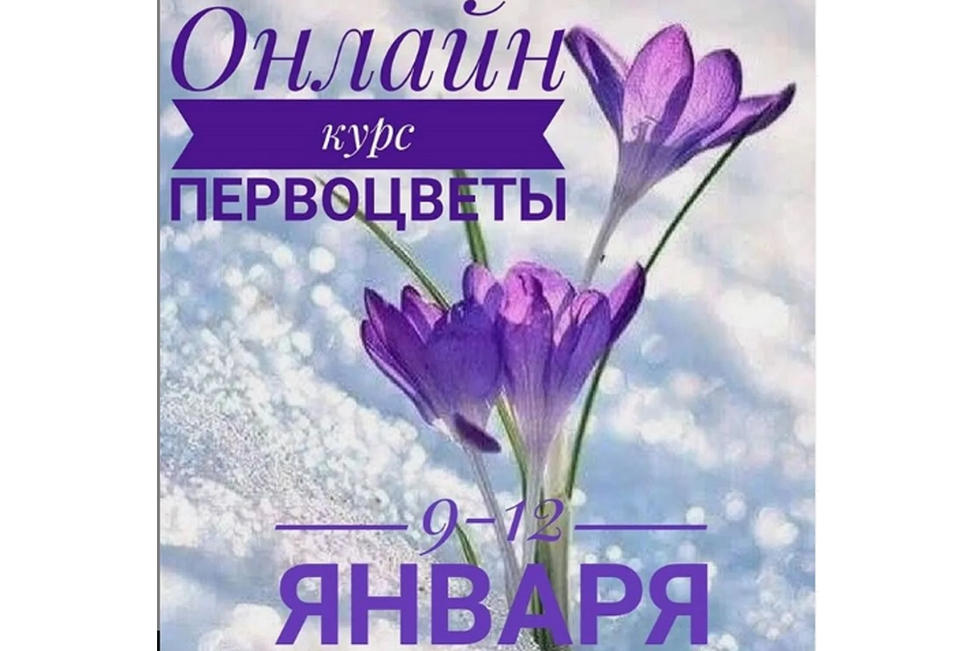 Первоцветы (Ирина Терновская), фото 1 из 1.