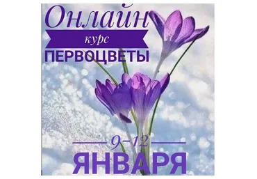 Первоцветы (Ирина Терновская)