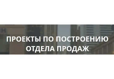 Реализация проектов отделов продаж под ключ, 2016 (Петр Кудасов)