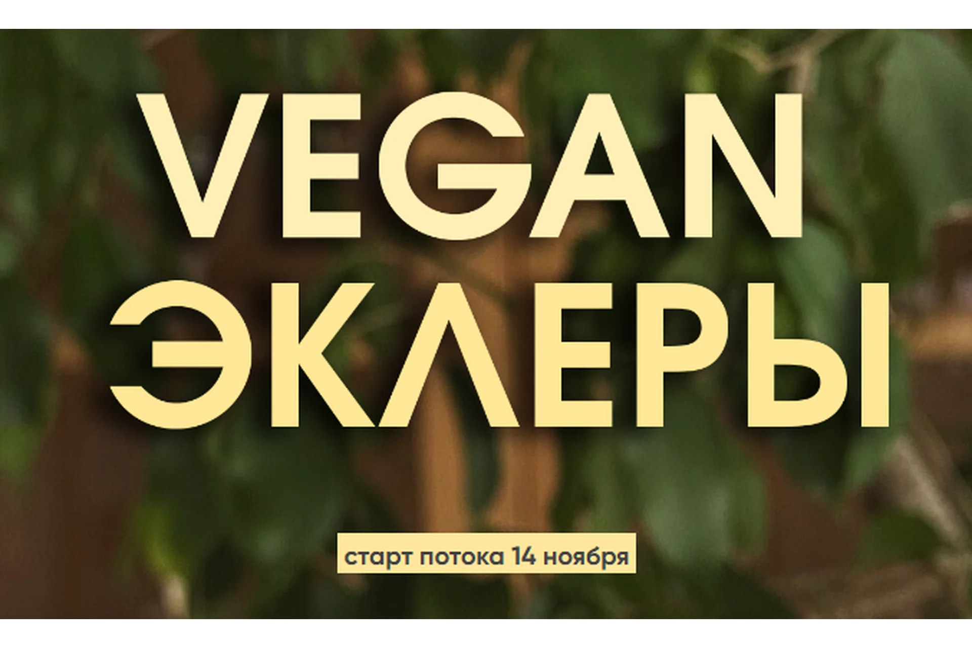 Vegan эклеры. Тариф Без поддержки (Мария Липская), фото 1 из 1.
