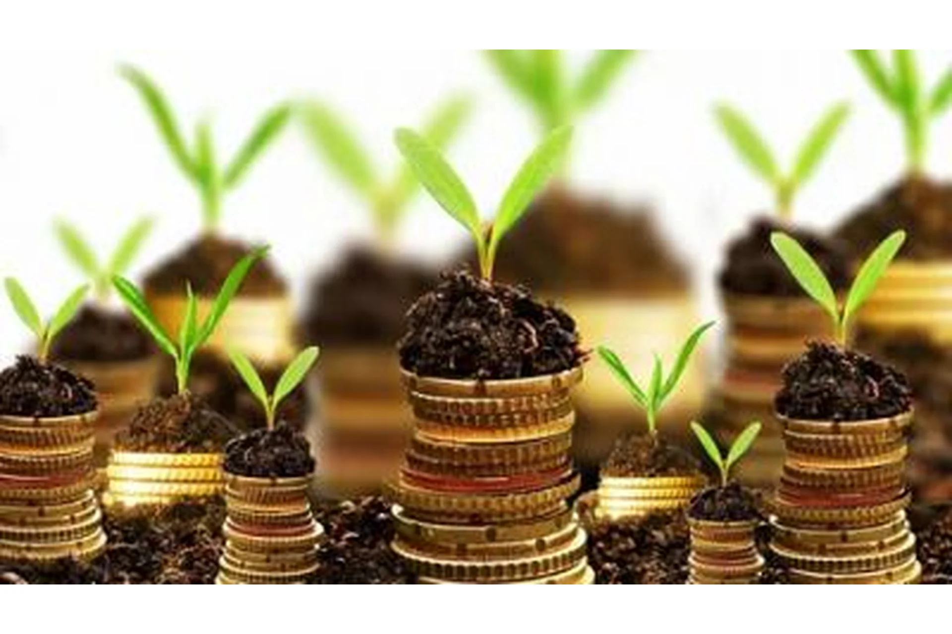 Как сделать Китай источником стабильного дохода, фото 1 из 1.