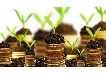 Как сделать Китай источником стабильного дохода