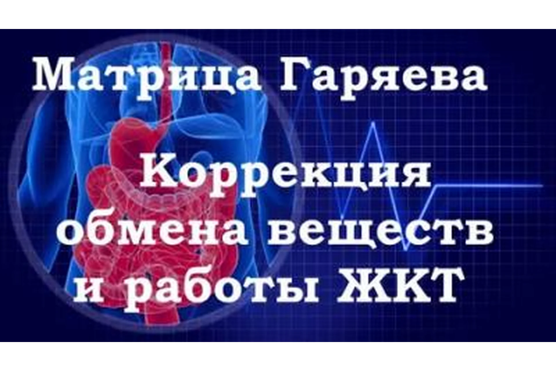 Матрицы Гаряева, «Коррекция общего обмена веществ», программа №4 (Петр Гаряев), фото 1 из 1.