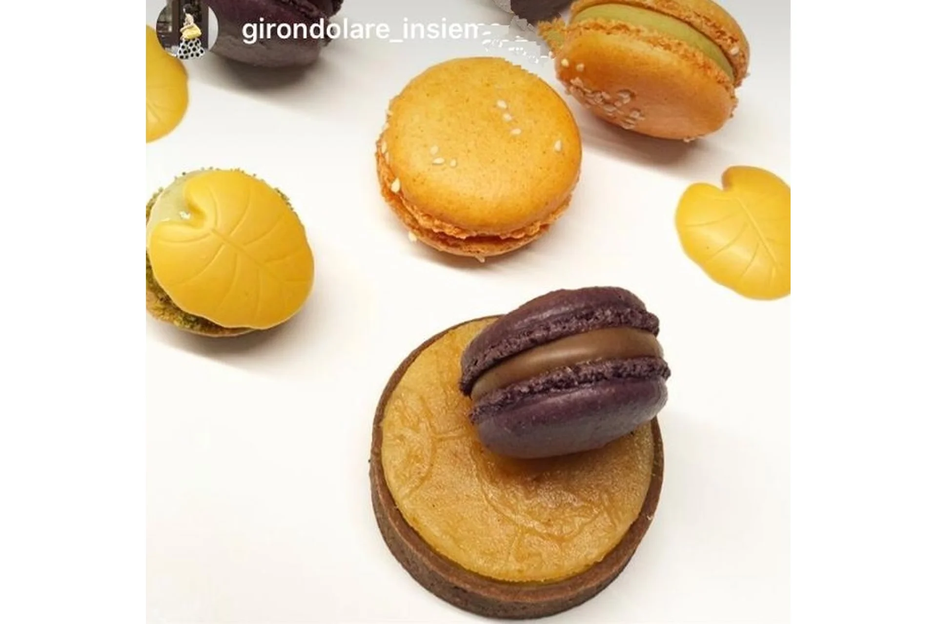 8 новых вкусов макарон  (Ольга Фан-Юнг), фото 1 из 1.