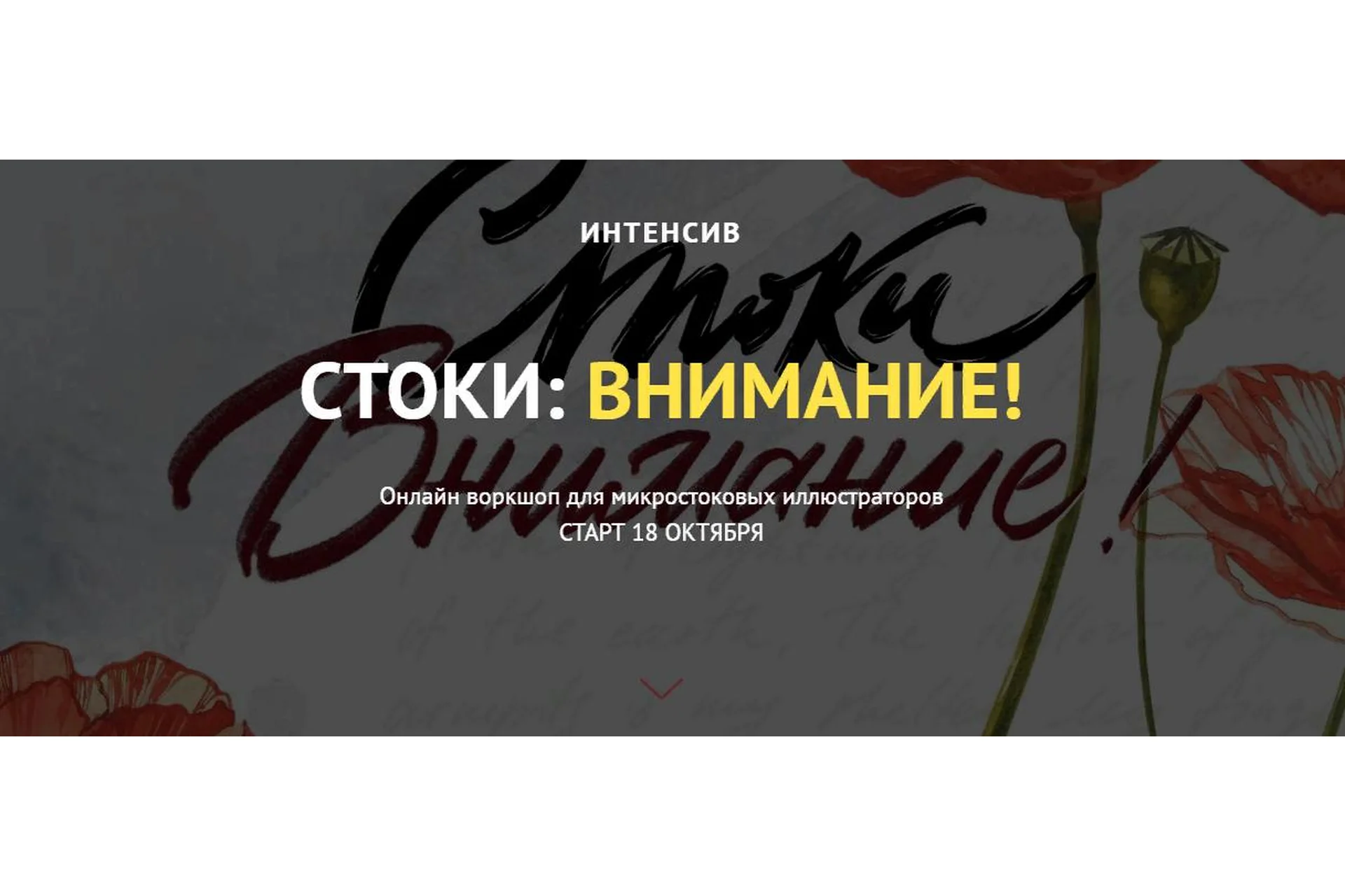 [Astro Ann] Стоки: внимание! Вариант без разбора работ (Анна Асетрова), фото 1 из 1.