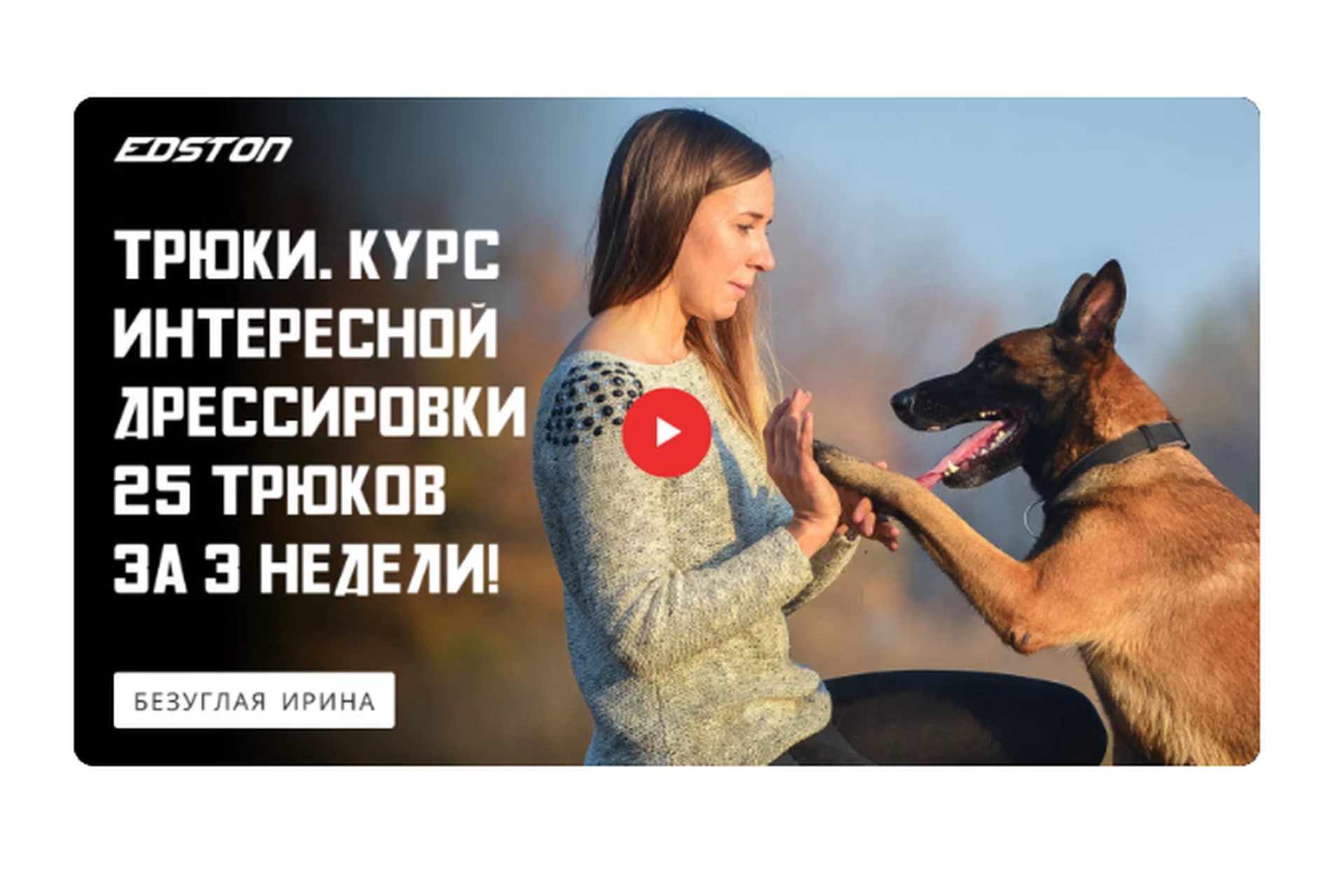 [Edston] Трюки. Курс интересной дрессировки. 25 трюков за 3 недели (Ирина Безуглая), фото 1 из 1.