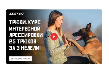 [Edston] Трюки. Курс интересной дрессировки. 25 трюков за 3 недели (Ирина Безуглая)