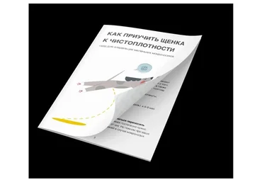 [Kinolog School] Как приучить щенка к чистоплотности (Антонина Зимарева)