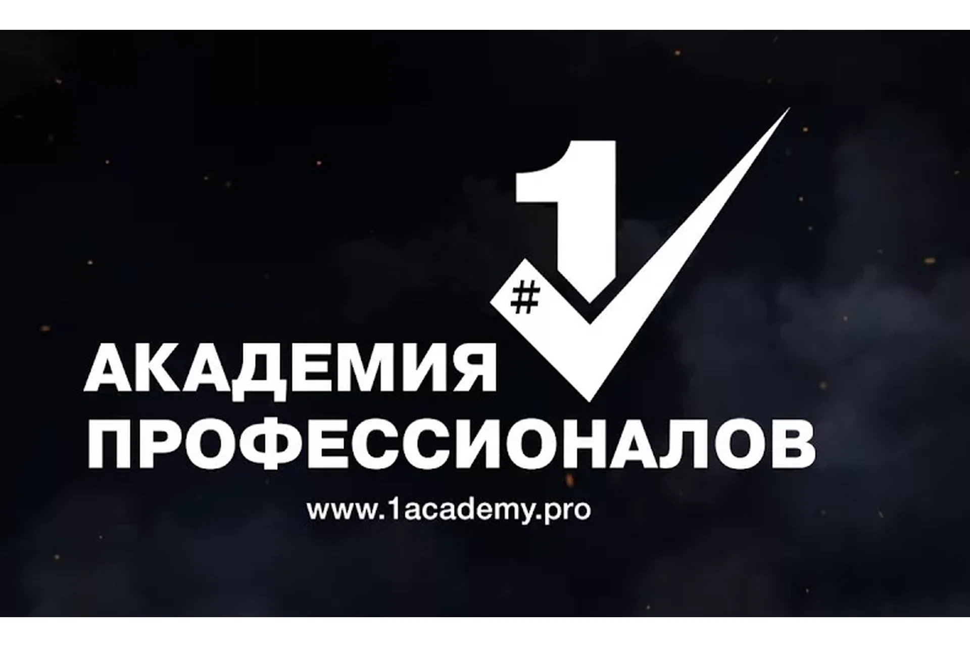 [Академия Профессионалов №1] Профессиональная реклама своими руками, 2017 (Владимир Белозеров), фото 1 из 1.