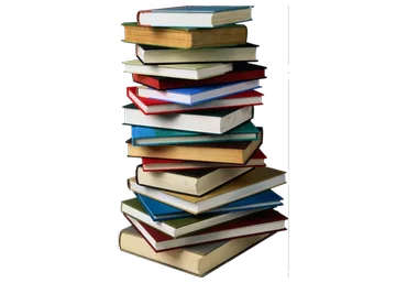 Советы желающим замуж. Советы  вышедшим замуж. 9 книг (Светлана Ермакова, Леонид Жаров)