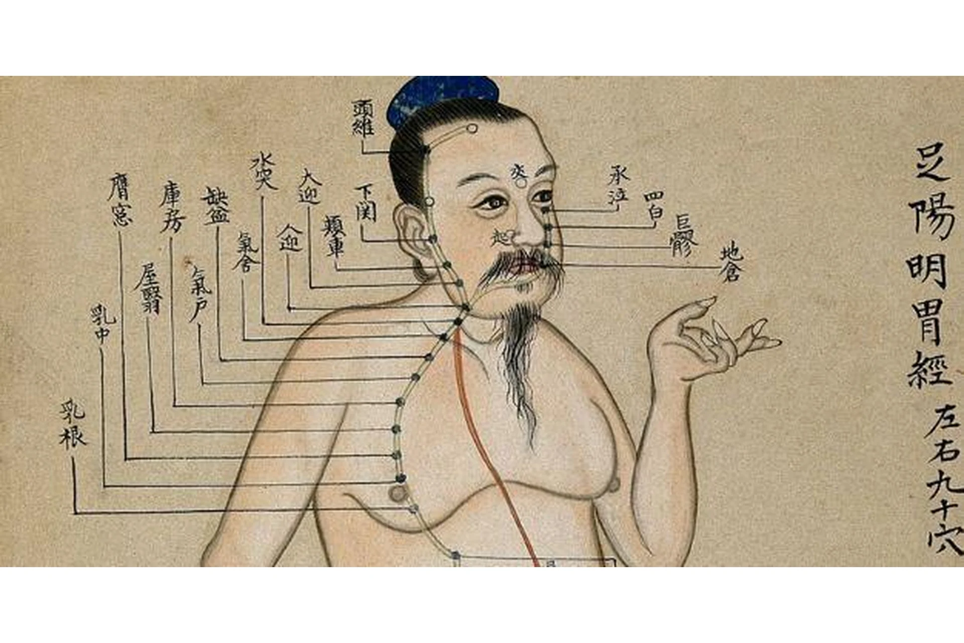 [cranio-acad] Ключевые аспекты постановки игл. Техники укалывания по Нэй Цзин (Денис Аланов), фото 1 из 1.