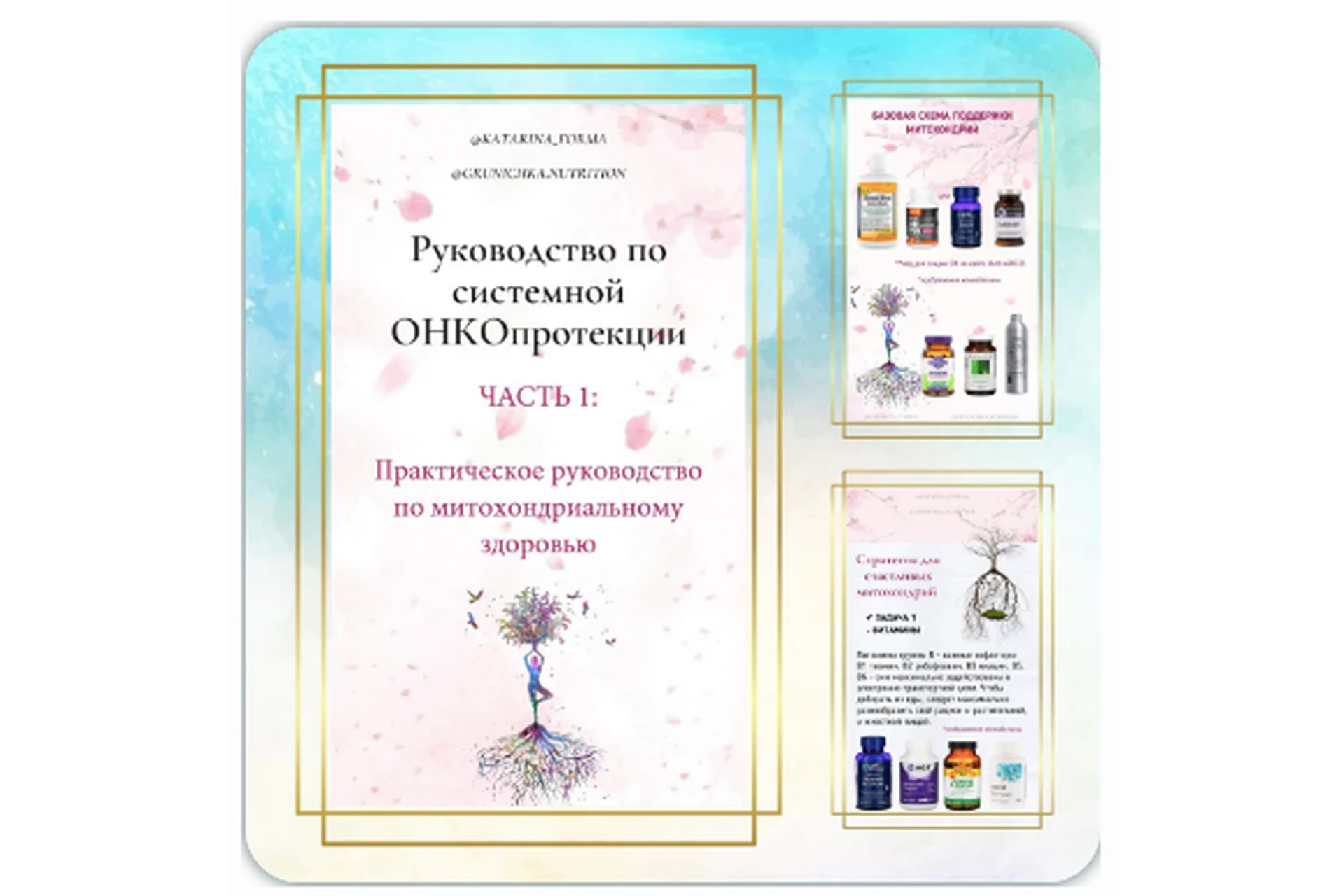 Практическое руководство по митохондриальному здоровью. Часть 1 (Катерина Форма), фото 1 из 1.