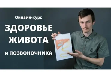 Здоровье живота и позвоночника. Тариф самостоятельный  (Антон Шахманов)