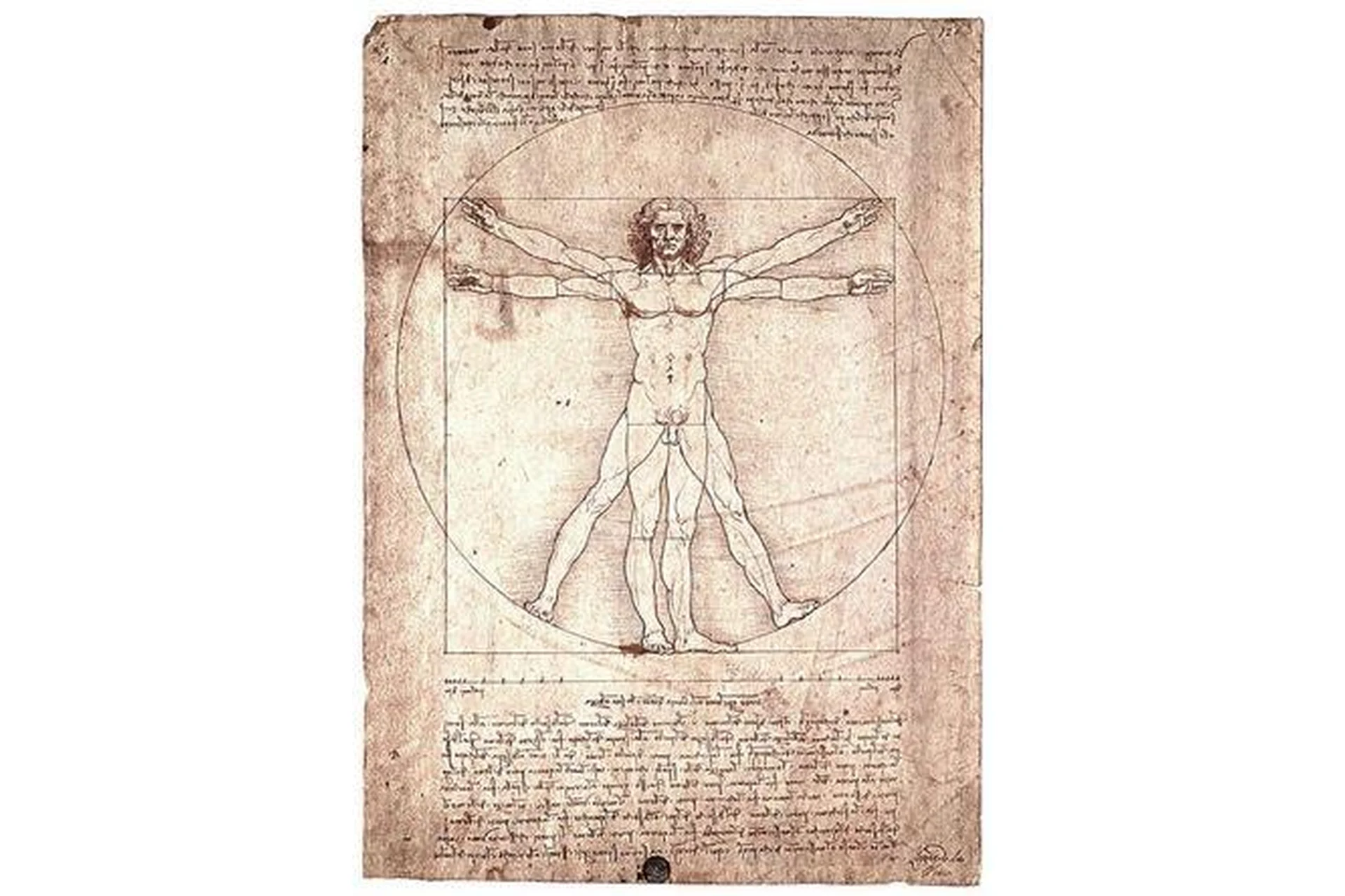 [ИПИР] Ось «Сознание – тело» (Олег Бахтияров), фото 1 из 1.