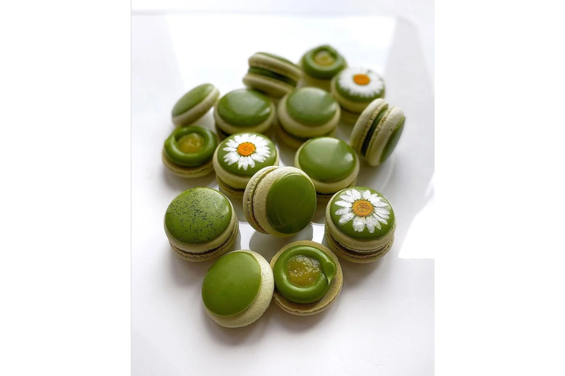 [pololololololololo] МакароноМания. Тариф Продвинутый (Полина Егорова), фото 1 из 1.