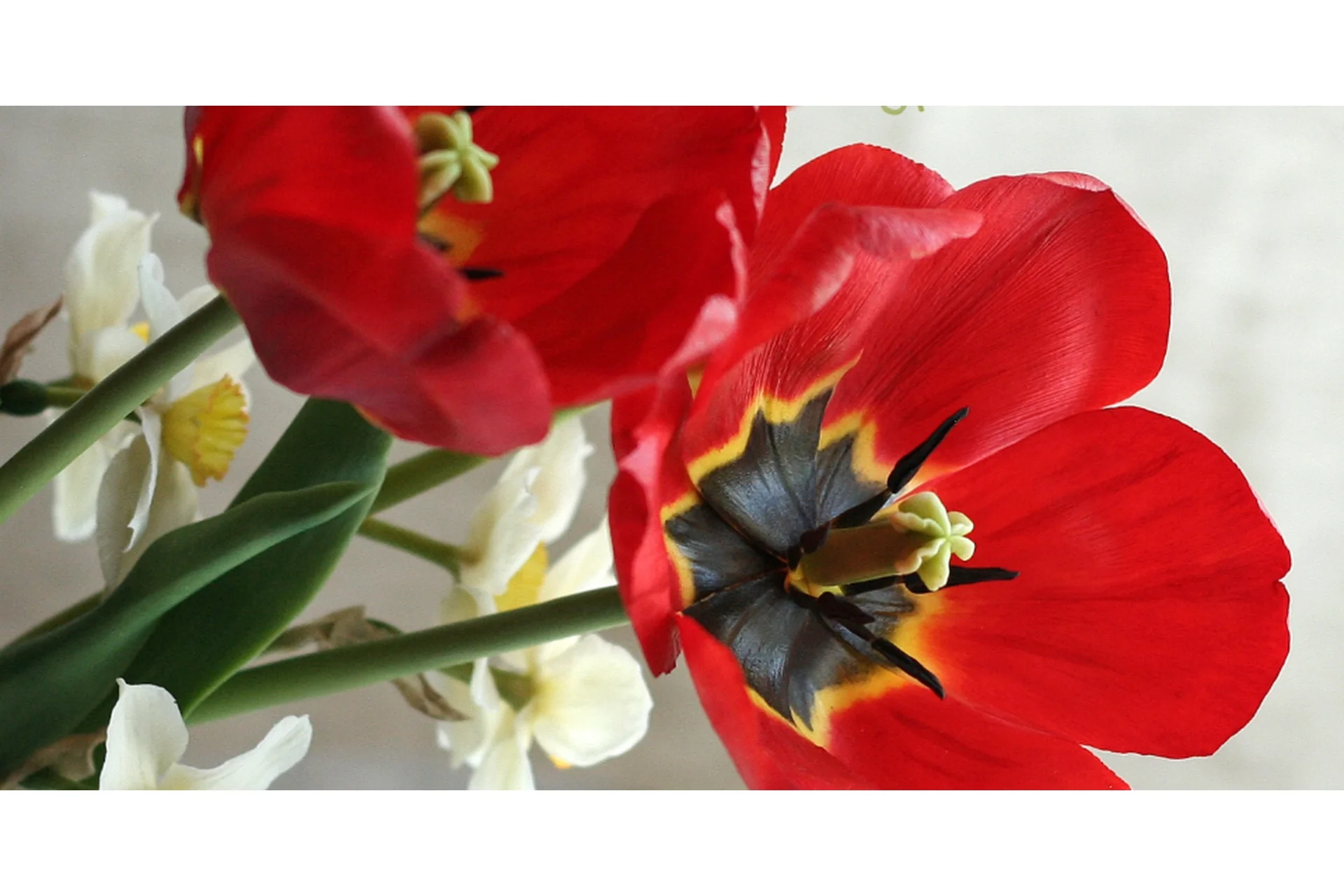 Красный тюльпан из холодного фарфора (Олеся Богданович), фото 1 из 1.