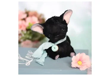 Поросенок и щенок бульдожки (Инна Папис)