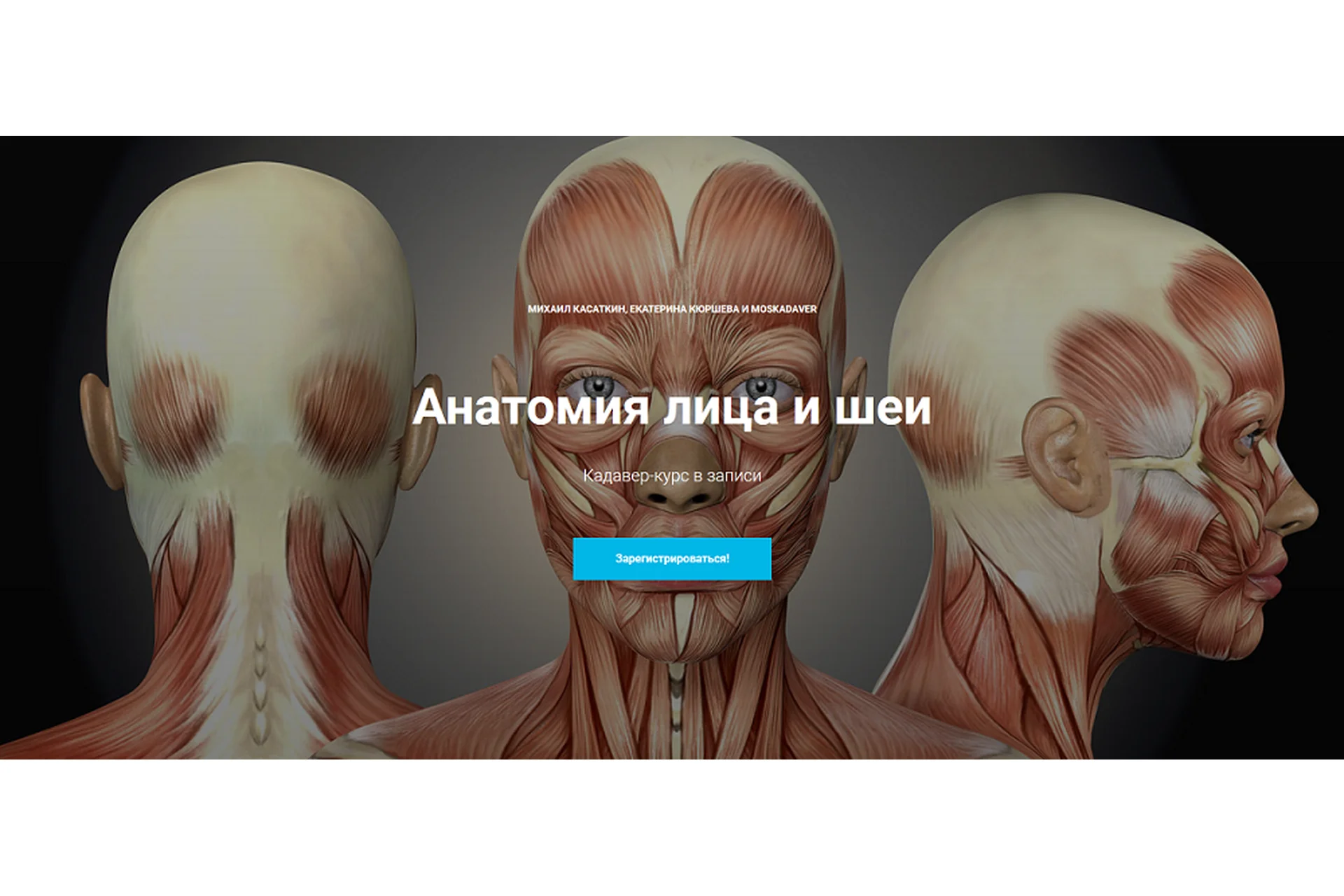 Кадавер-курс "Анатомия лица и шеи" (Михаил Касаткин, Екатерина Кюршева), фото 1 из 1.