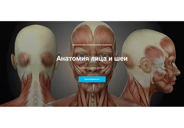 Кадавер-курс "Анатомия лица и шеи" (Михаил Касаткин, Екатерина Кюршева)