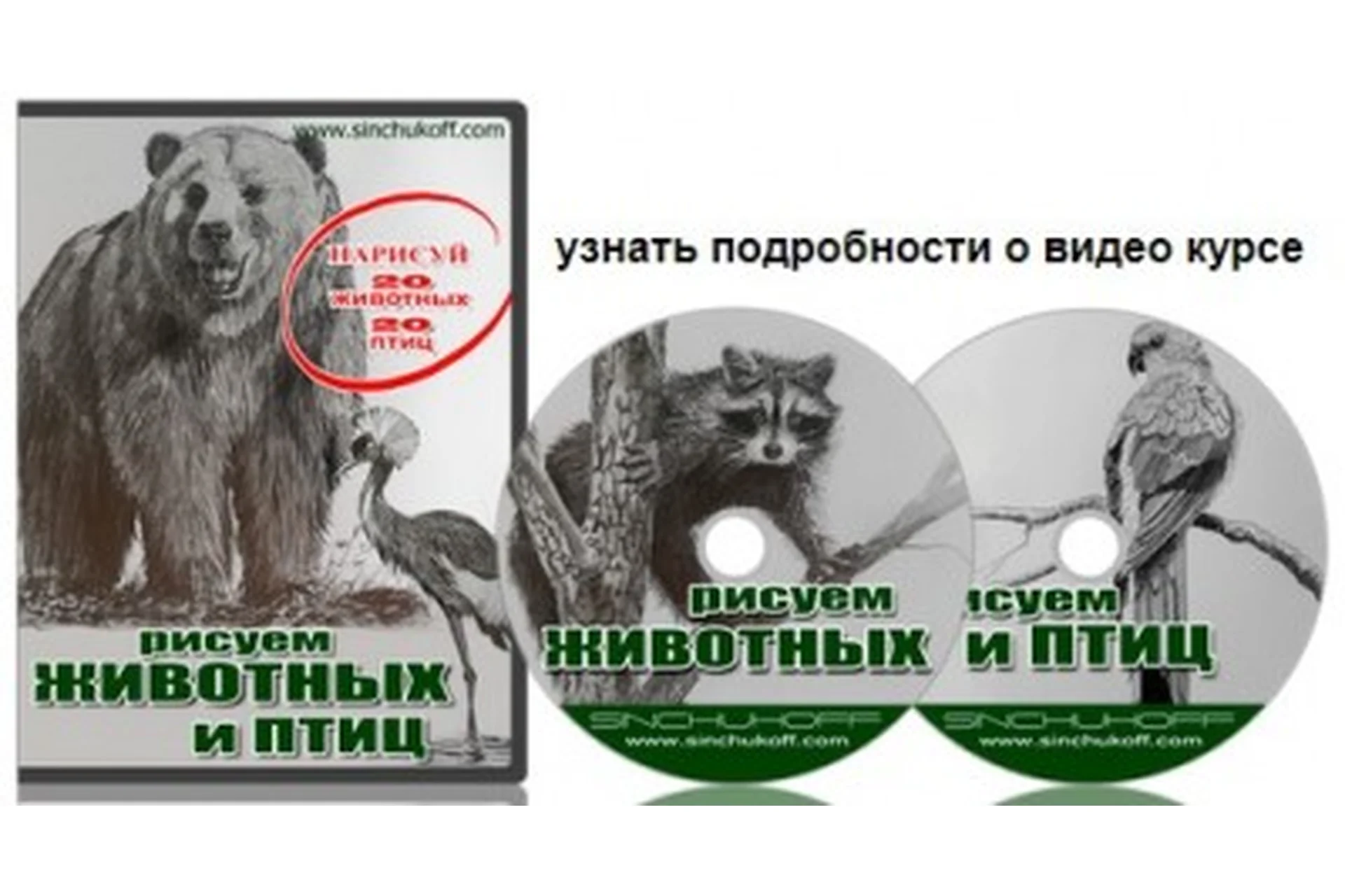 Рисуем животных и птиц, 2017 (Юрий Синчуков), фото 1 из 1.