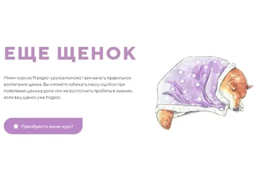 [Kinolog School] Еще щенок (Антонина Зимарева)