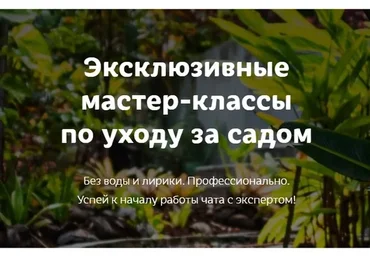 Хвойный мир. 3 поток (Кристианна Виниченко)