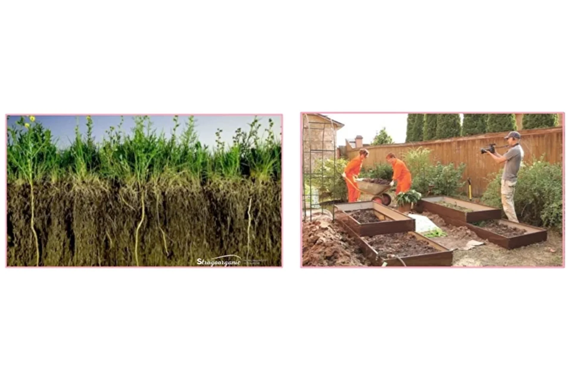 [Strogoorganic] Простая система урожайного сада по методике НИСО. 12 месяцев (Адалет Зейналов), фото 1 из 1.