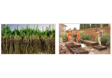 [Strogoorganic] Простая система урожайного сада по методике НИСО. 12 месяцев (Адалет Зейналов)