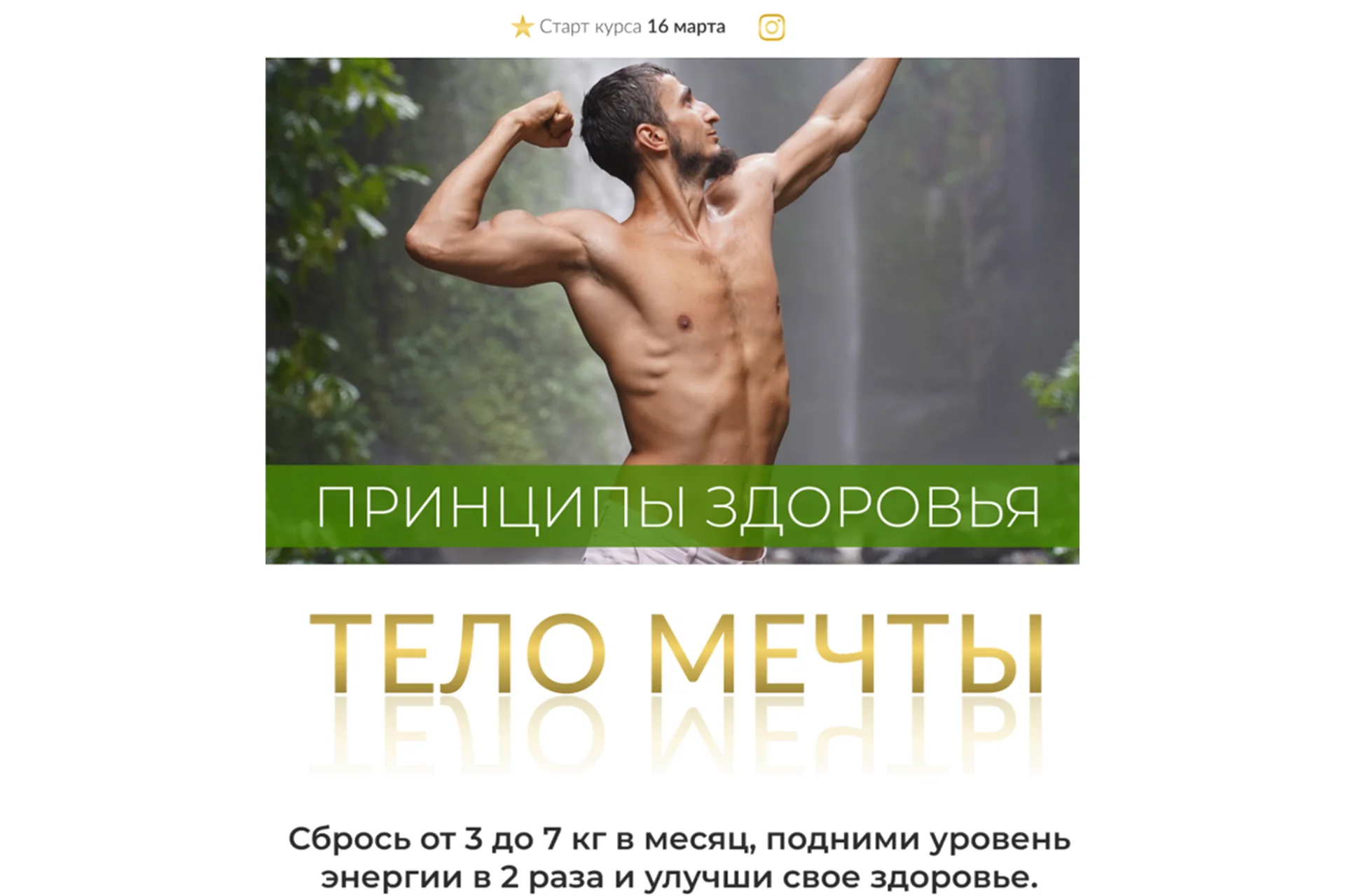 Принцип здоровья. Тело мечты. Тариф - Практика (Владимир Горохов), фото 1 из 1.