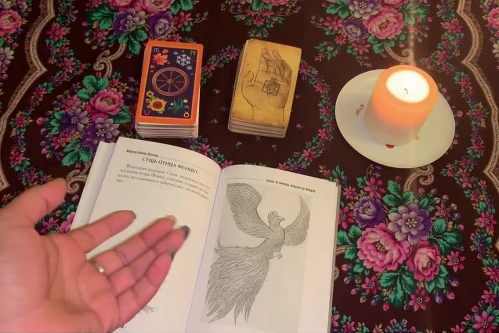 Сущи в помощь ведьмы и колдуну (Алена Полынь), фото 1 из 1.