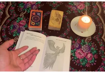 Сущи в помощь ведьмы и колдуну (Алена Полынь)