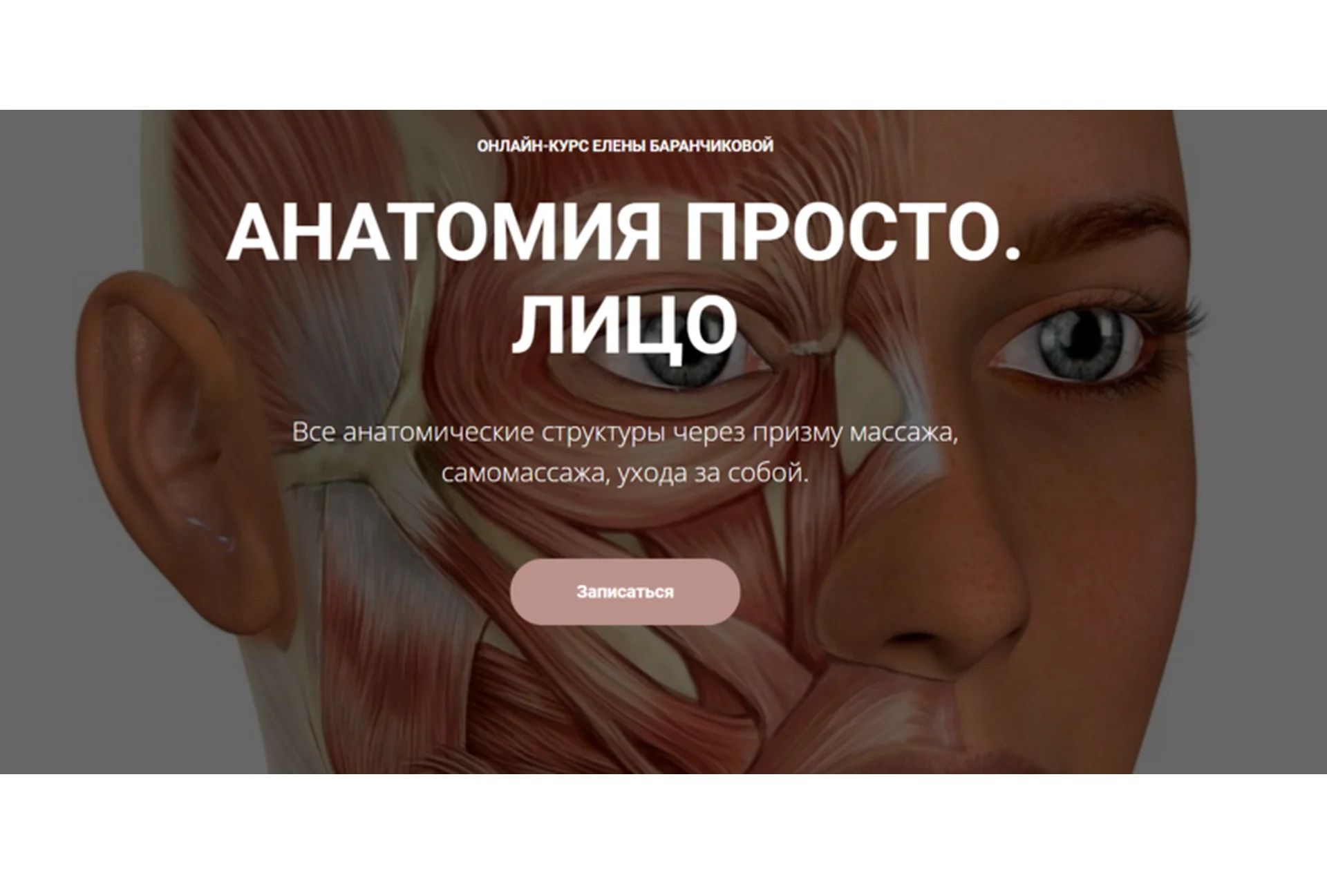 Анатомия просто. Лицо (Елена Баранчикова), фото 1 из 1.
