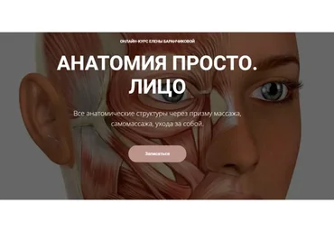 Анатомия просто. Лицо (Елена Баранчикова)