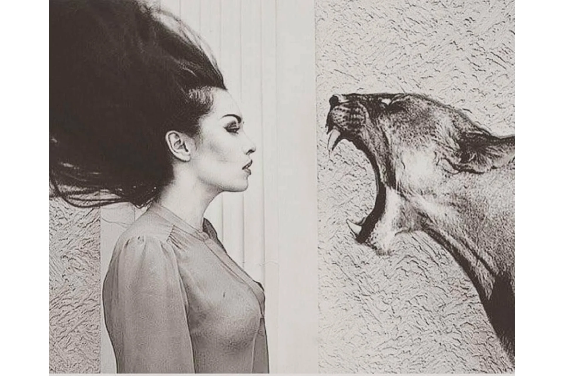 Агрессия (Яр Громов), фото 1 из 1.