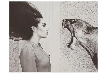 Агрессия (Яр Громов)