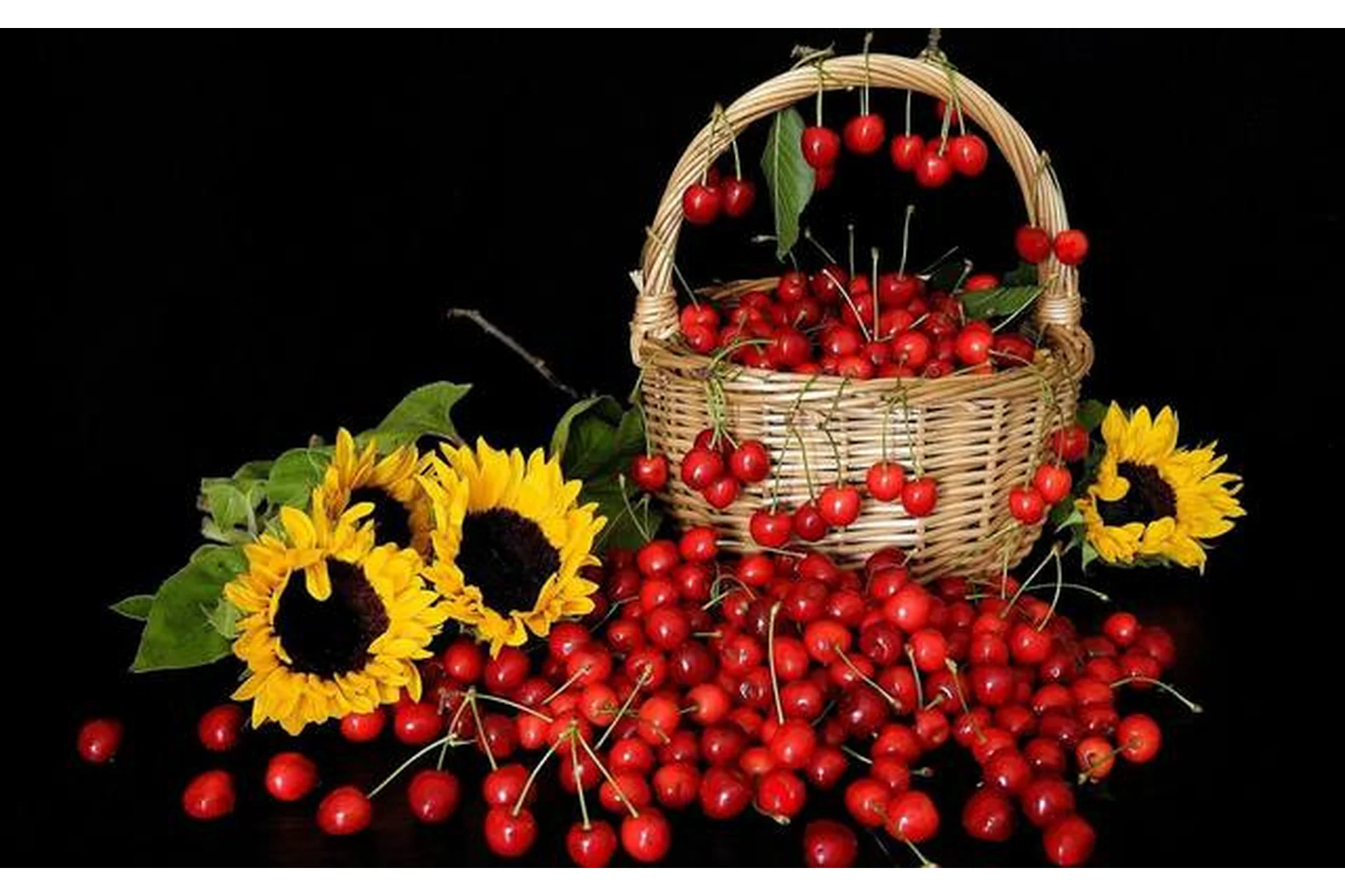 [dom_ulitki] Курс зельеварения Осенние Ягоды (Ирина Таро), фото 1 из 1.