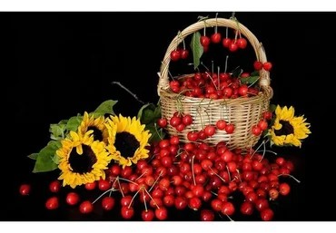 [dom_ulitki] Курс зельеварения Осенние Ягоды (Ирина Таро)