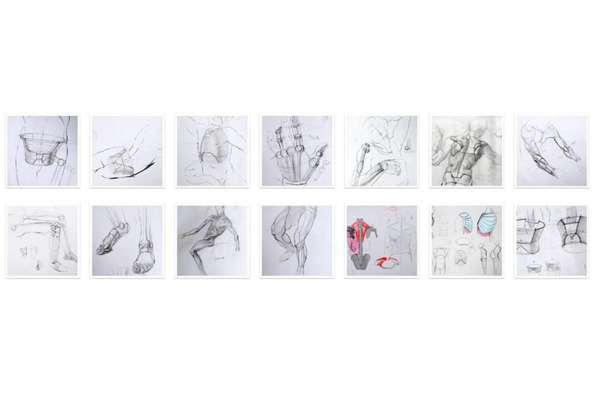 [KalachevaSchool] Рисуем человека. Анатомия. Сентябрь 2019 (Дарья Остапенко), фото 1 из 1.