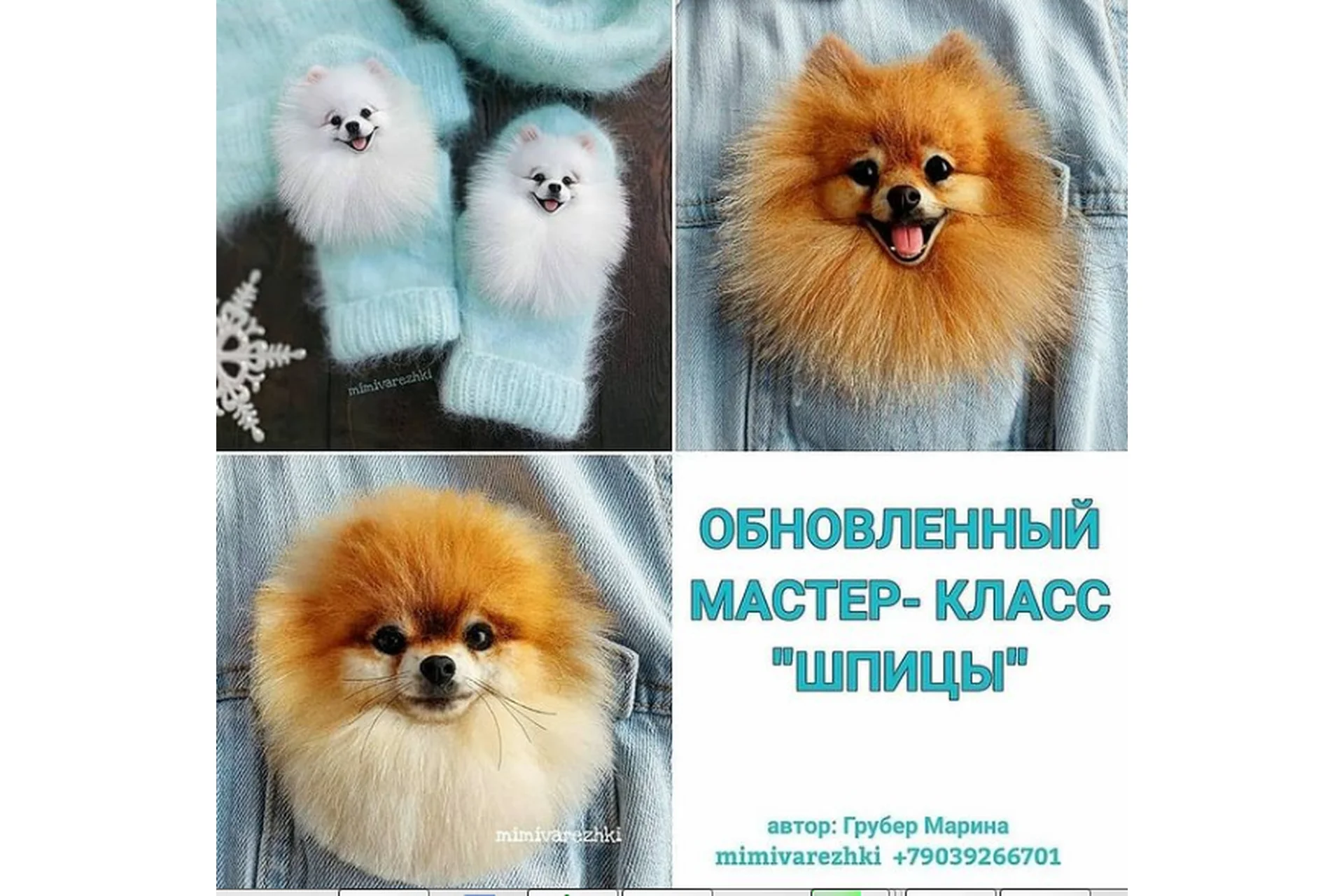 Звероварежки. Шпицы Обновленный  (Марина Грубер), фото 1 из 1.