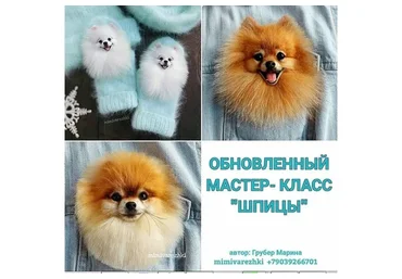 Звероварежки. Шпицы Обновленный  (Марина Грубер)