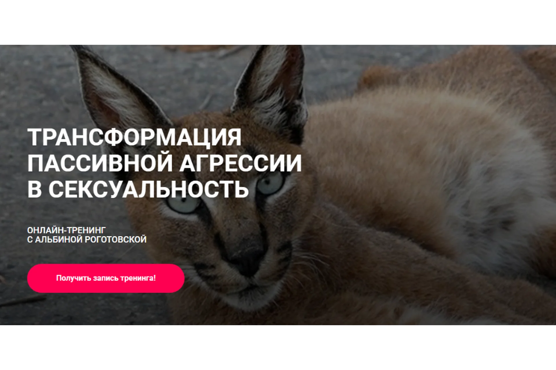 Трансформация пассивной агрессии в сексуальность. Тариф Без обратной связи (Альбина Роготовская), фото 1 из 1.