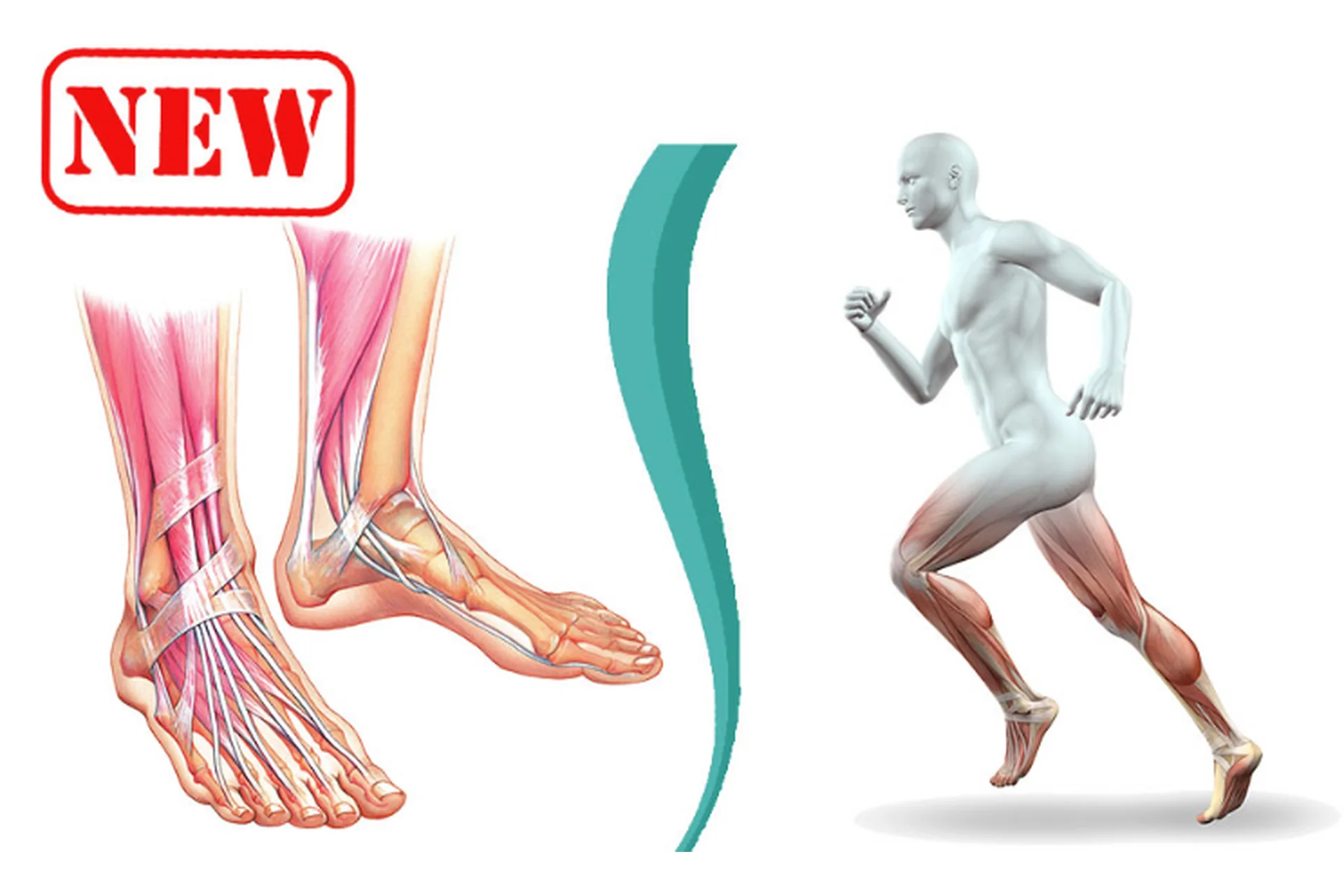 [move4s] Восстановление паттерна шага. Стопа (Леля Савосина), фото 1 из 1.